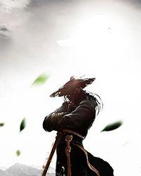 武逆佣兵妃:凰战天穹