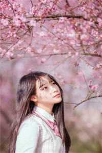 元溯元溯